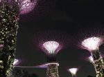 ガーデンズ・バイ・ザ・ベイで非日常を　幻想的な空間に感動！